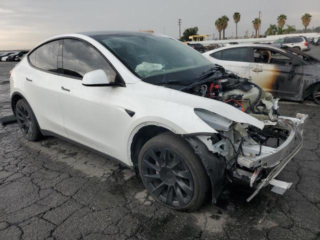 Vin: 7saygdee6pa036104, lot: 59301245, tesla model y 20234