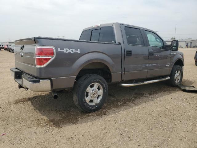 Vin: 1ftfw1et1dkf57964, lot: 58801885, ford f-150 supercrew 20133