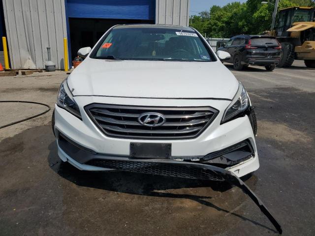 2017 HYUNDAI SONATA SPO - 5NPE34AF2HH510615