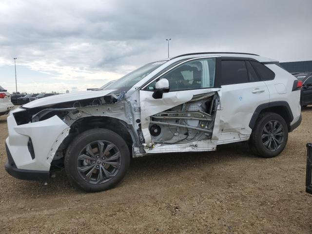 Vin: 2t3rwrfv8pw185577, lot: 61792365, toyota rav4 xle 2023 img_1