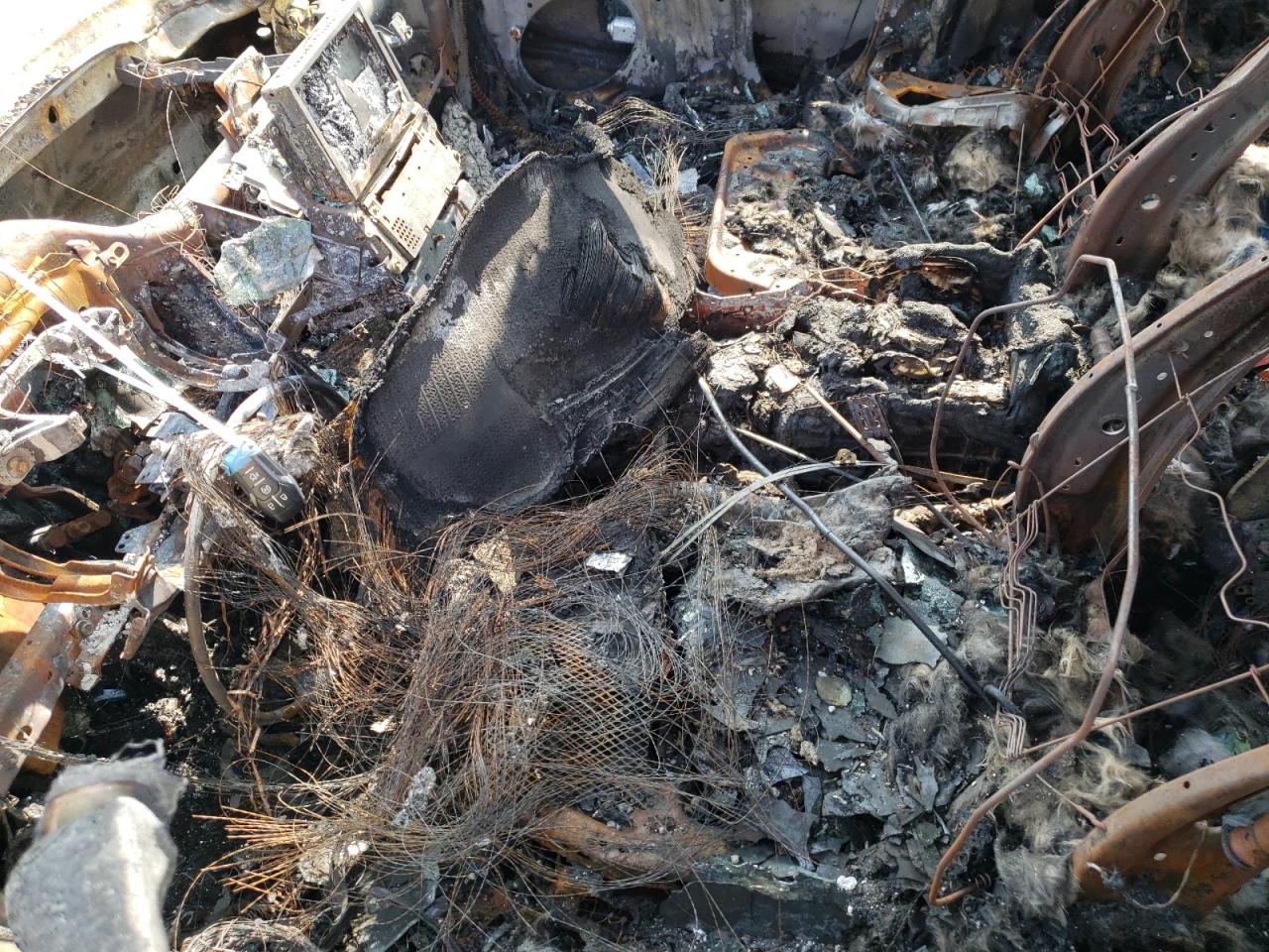 Global Auto Auctions