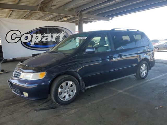 HONDA ODYSSEY EX