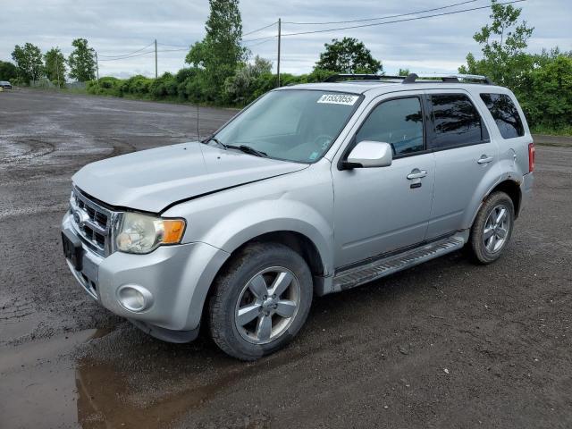 Vin: 1fmcu9eg3akc97990, lot: 61552055, ford escape limited 2010 img_1