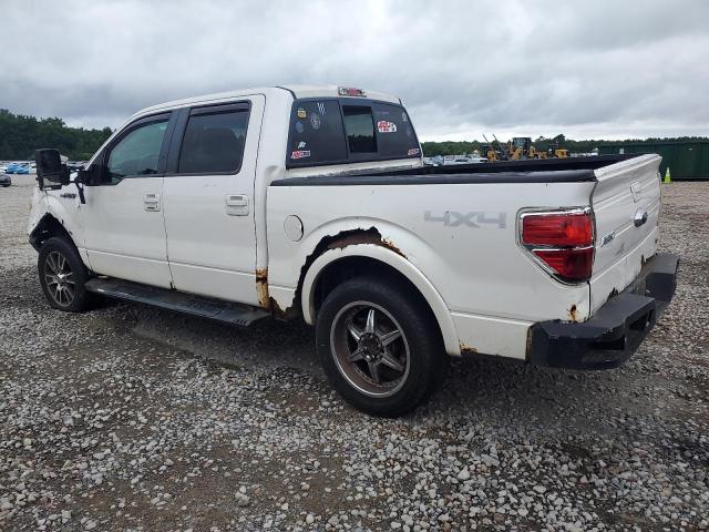 Vin: 1ftfw1ev3afb31716, lot: 61506375, ford f-150 supercrew 20102