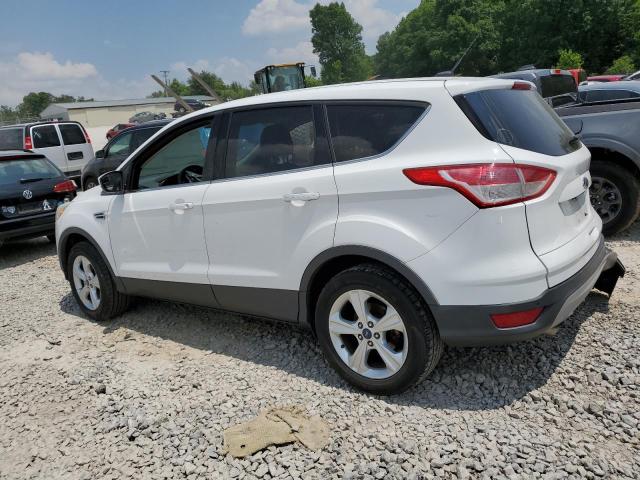 Vin: 1fmcu0g91eud32658, lot: 58417565, ford escape se 20142