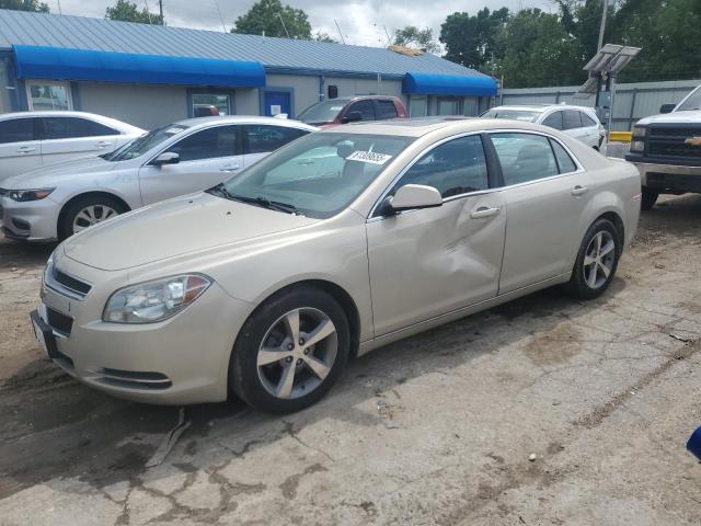 Vin: 1g1zc5e12bf263130, lot: 61309655, chevrolet malibu 1lt 2011 img_1