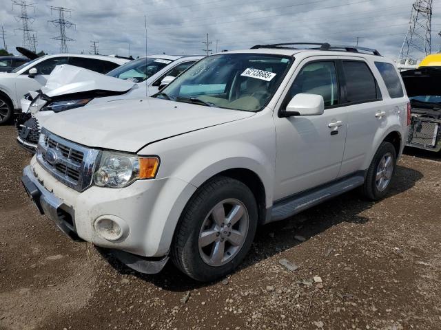 Global Auto Auctions: 2009 FORD ESCAPE LIM