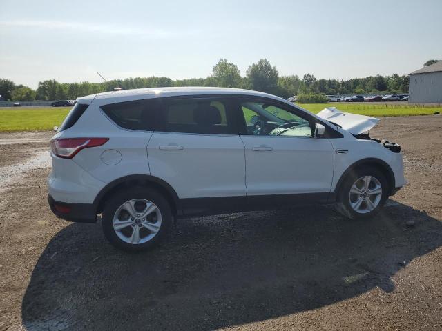 2014 FORD ESCAPE SE - 1FMCU0G92EUD32474
