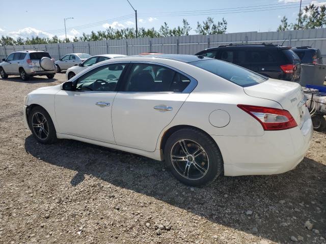 Vin: 1n4aa5ap3bc822292, lot: 61411155, nissan maxima s 20112