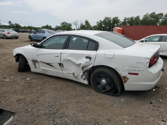 2013 DODGE CHARGER PO - 2C3CDXAG3DH675336