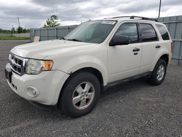 Vin: 1fmcu0d74akc26665, lot: 61666915, ford escape xlt 2010 img_1