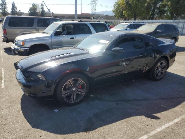 Vin: 1zvbp8am8d5206550, lot: 59400935, ford all models 2013 img_1
