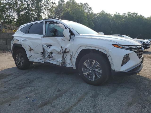 2022 HYUNDAI TUCSON BLU KM8JBCA12NU040664