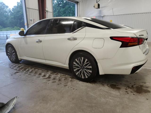 Vin: 1n4bl4dv9pn331241, lot: 59931795, nissan altima sv 20232