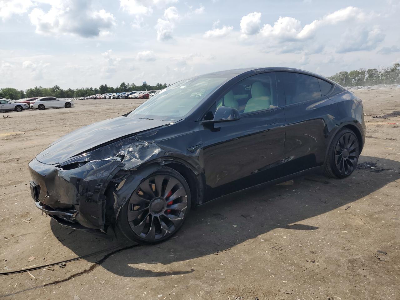 TESLA MODEL Y