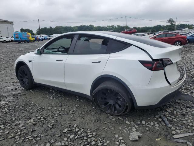 2022 TESLA MODEL Y 7SAYGDEE8NF379397
