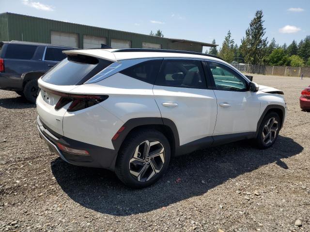 Vin: 5nmjecaexph289593, lot: 57683195, hyundai tucson limited 20233