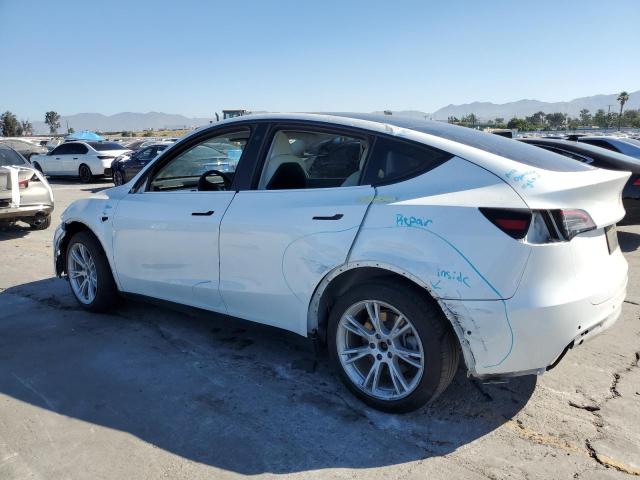 2021 TESLA MODEL Y 5YJYGDEE4MF210067