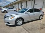 2017 NISSAN ALTIMA 2.5 - 1N4AL3APXHC195100
