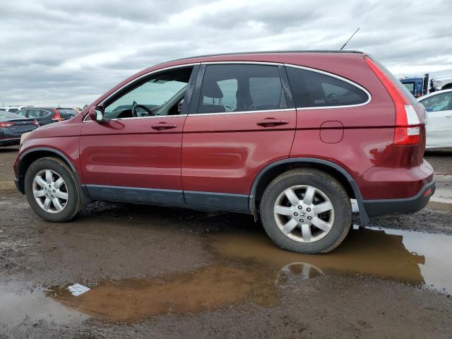 HONDA CR-V EXL 2009 burgundy  gas JHLRE48749C009428 photo #3