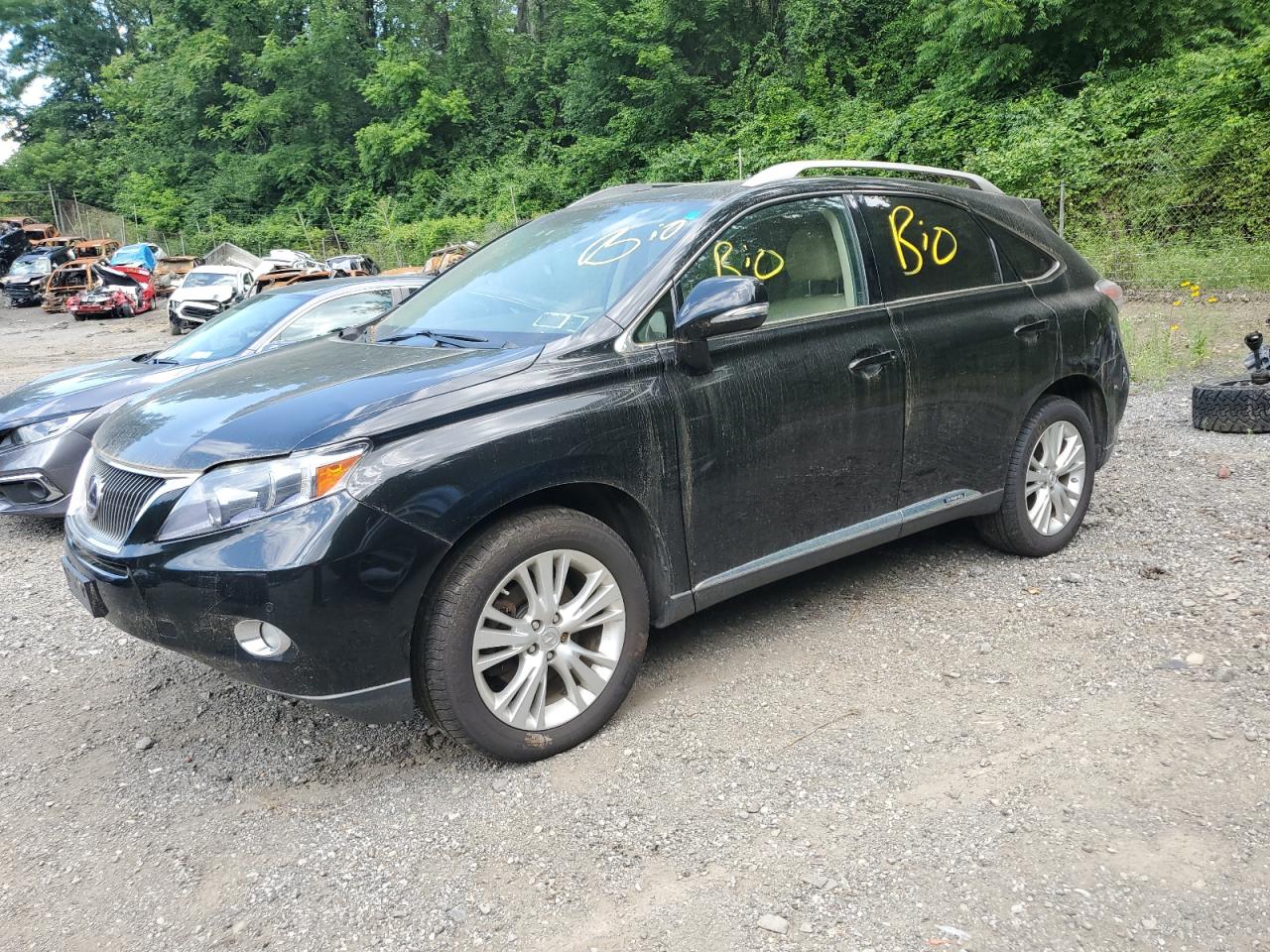LEXUS RX 450H