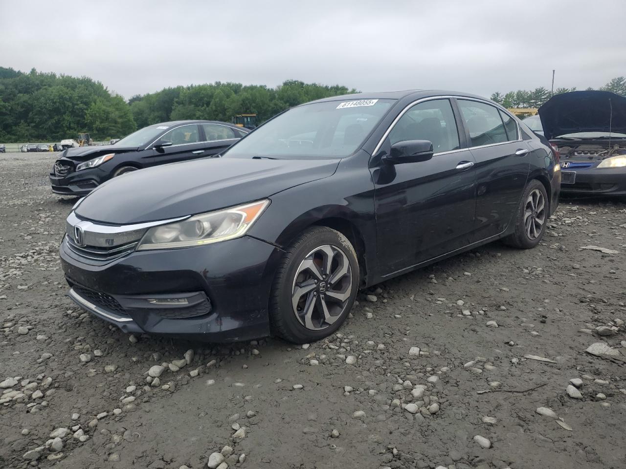 HONDA ACCORD EXL