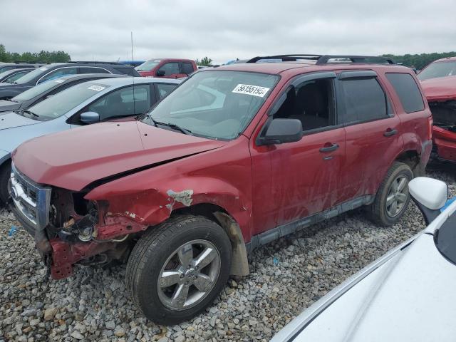 Vin: 1fmcu0dg3bka77490, lot: 56155195, ford escape xlt 2011 img_1