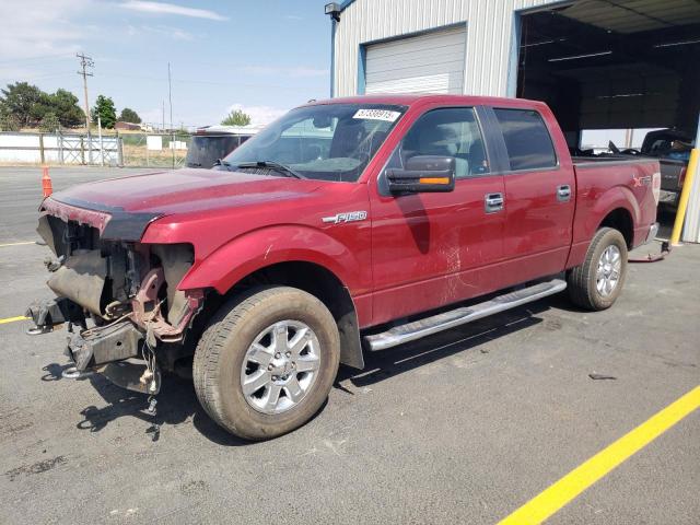 Vin: 1ftfw1ef2dkd00371, lot: 57338915, ford f150 supercrew 2013 img_1