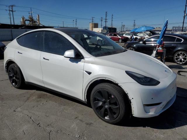 2021 TESLA MODEL Y 5YJYGDEE4MF210067