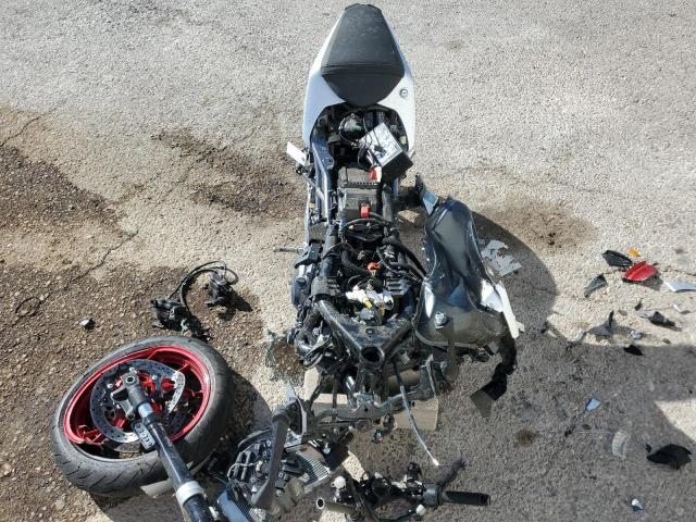 2024 SUZUKI GSX800 F JS1EM13B8R7103405