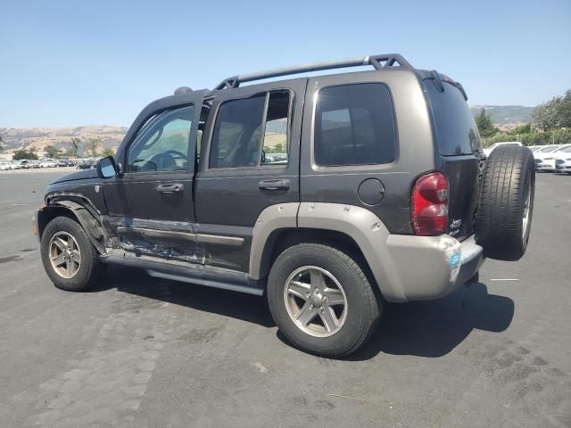 JEEP LIBERTY RE 2006 brown  gas 1J4GL38KX6W146225 photo #3