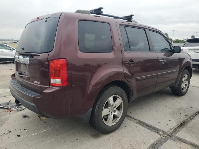 Vin: 5fnyf4h69bb033603, lot: 59549735, honda pilot exl 20113