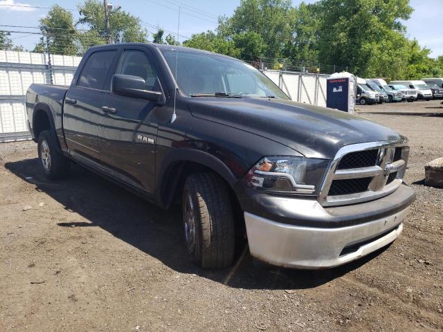 2010 DODGE RAM 1500 - 1D7RV1CP4AS119818