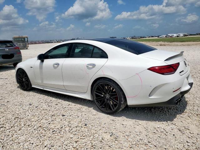 2019 MERCEDES-BENZ CLS AMG 53 WDD2J6BB7KA042949
