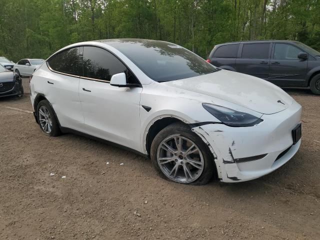 Vin: 7saygdee3pf775207, lot: 59359315, tesla model y 20234