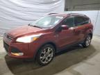 2016 FORD ESCAPE SE - 1FMCU9GX5GUA59391