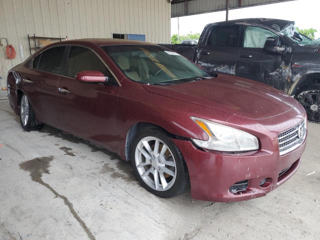 Vin: 1n4aa5ap8ac827521, lot: 59524775, nissan maxima s 20104