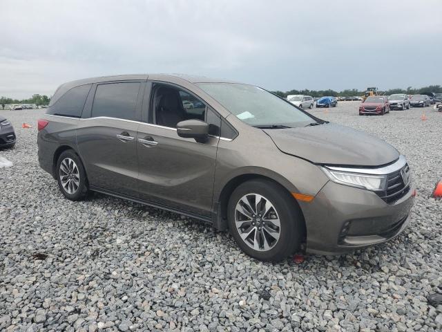 Vin: 5fnrl6h77mb036682, lot: 58636885, honda all models exl 20214