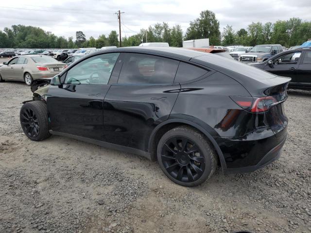 2023 TESLA MODEL Y - 7SAYGDEE7PF803428