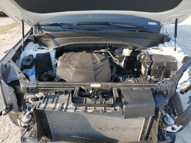 2024 KIA TELLURIDE - 5XYP5DGCXRG550255