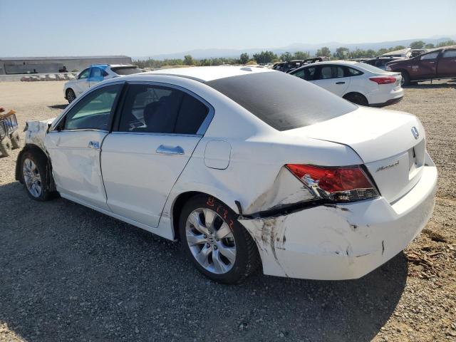 HONDA ACCORD EXL 2009 white  gas 1HGCP26819A011759 photo #3