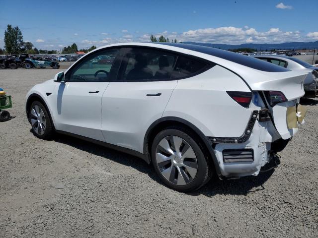 2021 TESLA MODEL Y 5YJYGAEE4MF239504