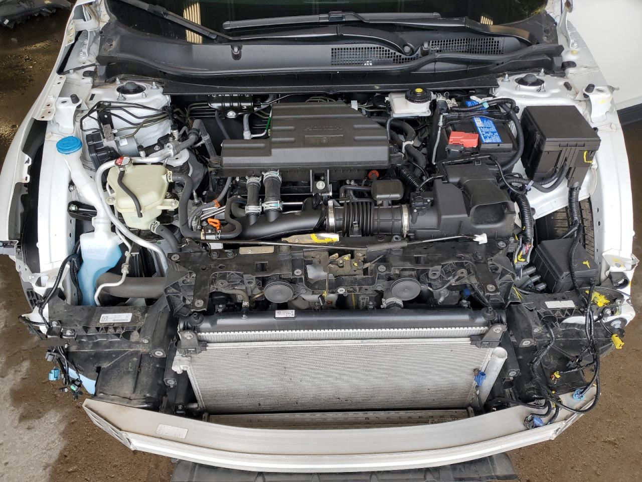 Honda Cr-v exl 2022