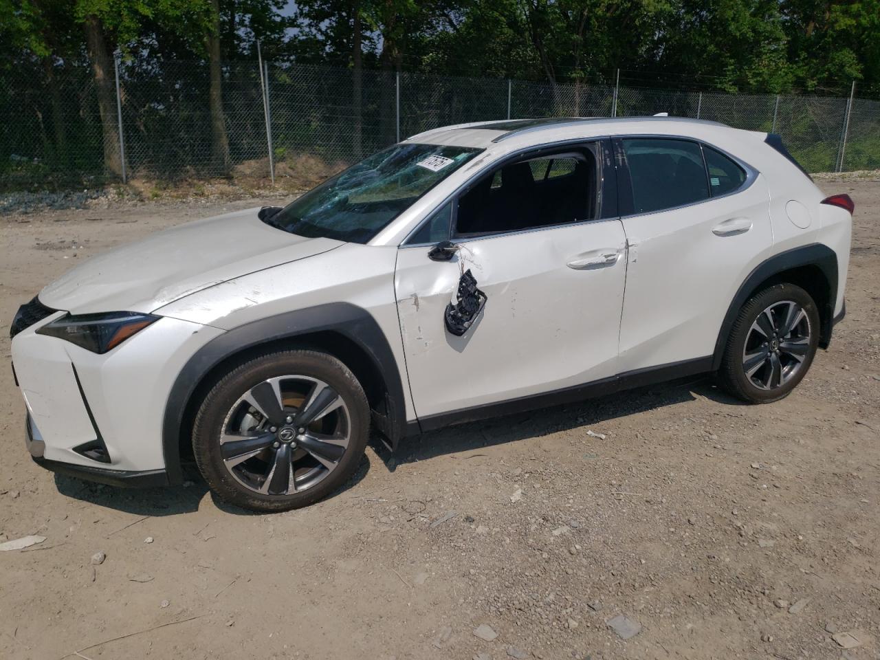 LEXUS UX 300H BASE