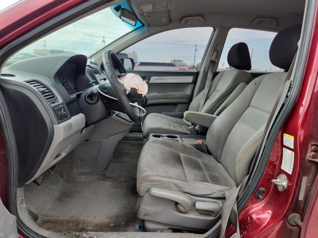 2010 HONDA CR-V LX - 5J6RE3H31AL007445