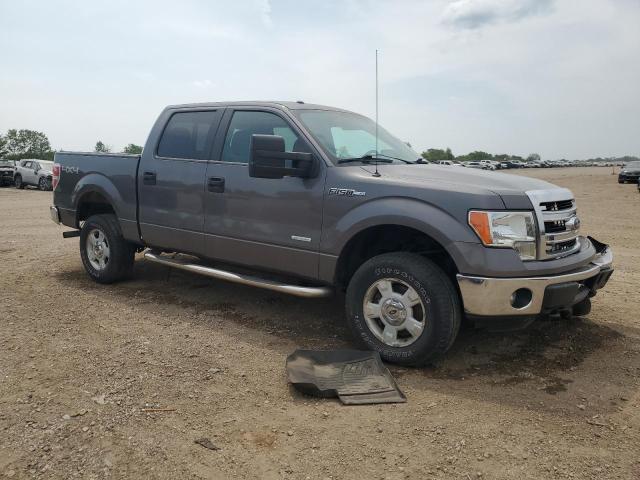 Vin: 1ftfw1et1dkf57964, lot: 58801885, ford f-150 supercrew 20134