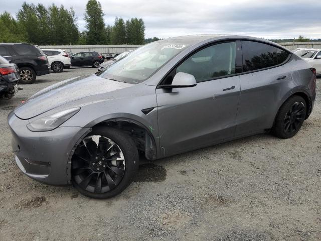Vin: 7saygdee1rf159332, lot: 61179495, tesla model y 2024 img_1