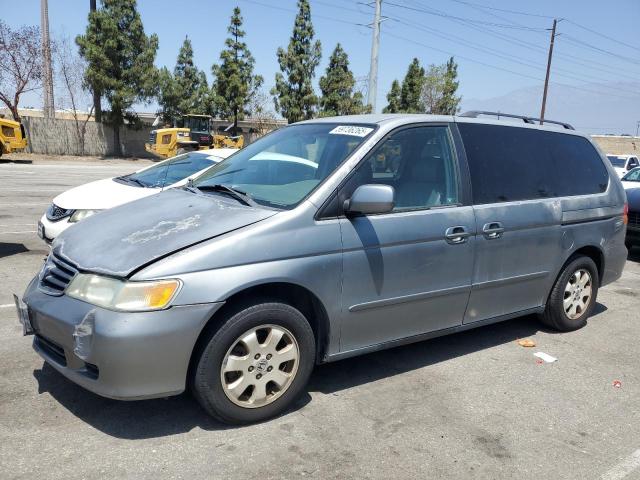 HONDA ODYSSEY EX