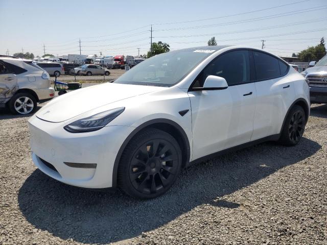 Vin: 5yjygdee2lf058322, lot: 61638775, tesla model y 2020 img_1