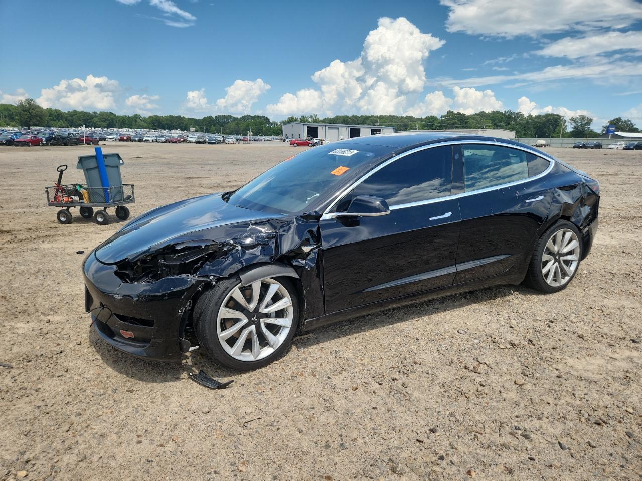 Lot #3230487891 2019 TESLA MODEL 3